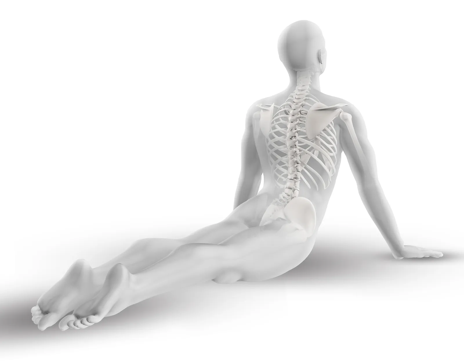 Ateliers de yoga, perfectionnement en yoga, anatomie pour le yoga, AnatomYoga®, Body Mind Centering®